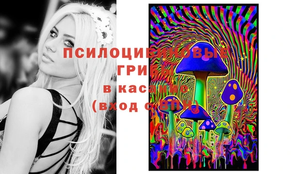 каннабис Алзамай