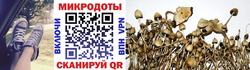 МЕГА зеркало  Рошаль  Псилоцибиновые грибы Magic Shrooms 